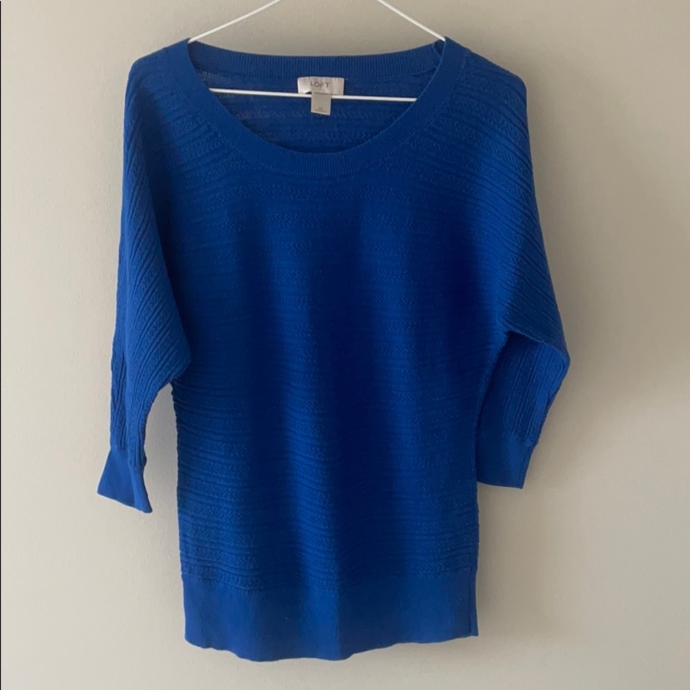 Blue LOFT sweater